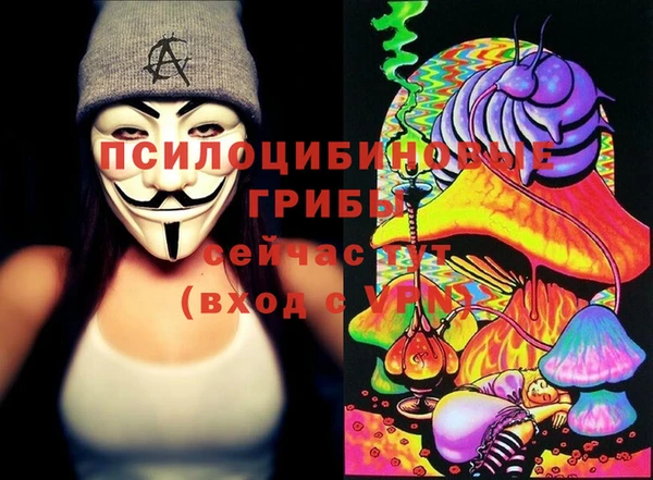 ECSTASY Алексеевка