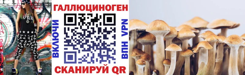 Галлюциногенные грибы Cubensis  Красногорск 